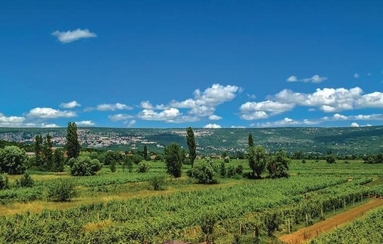 Villa Olea Zmijavci Esterno foto