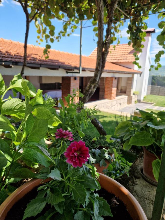 Villa Olea Zmijavci Esterno foto