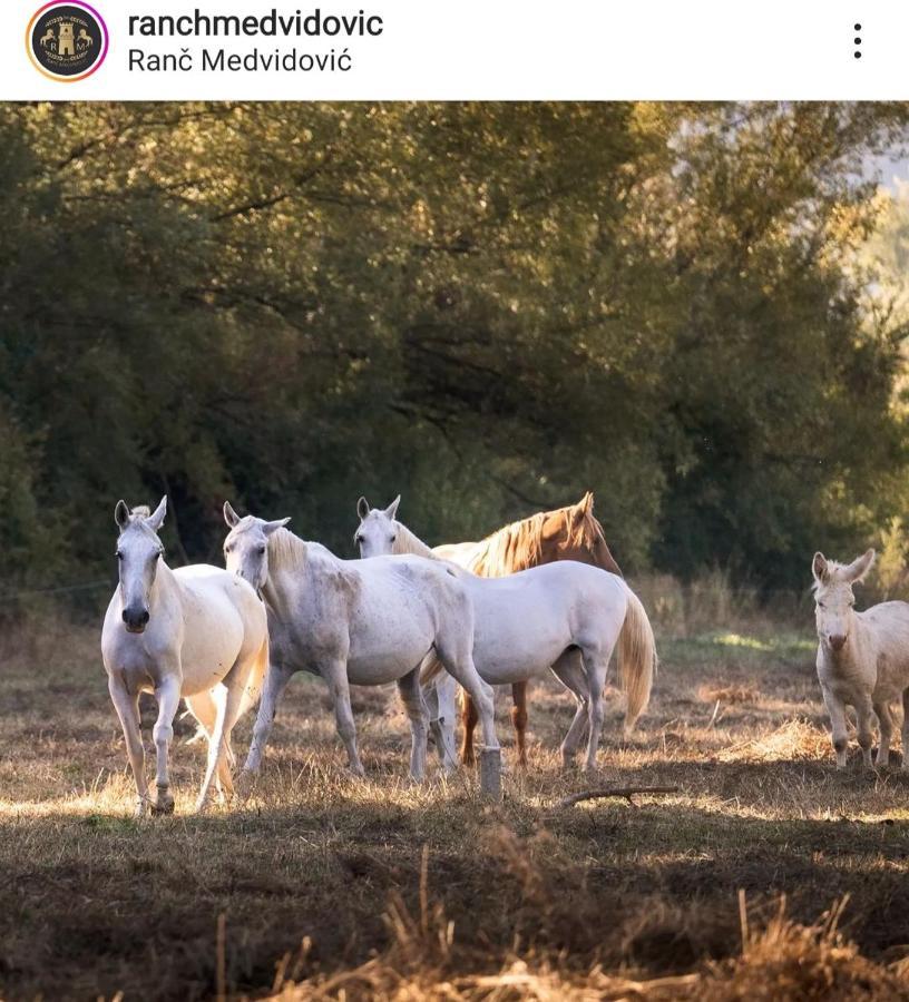 Villa Olea Zmijavci Esterno foto